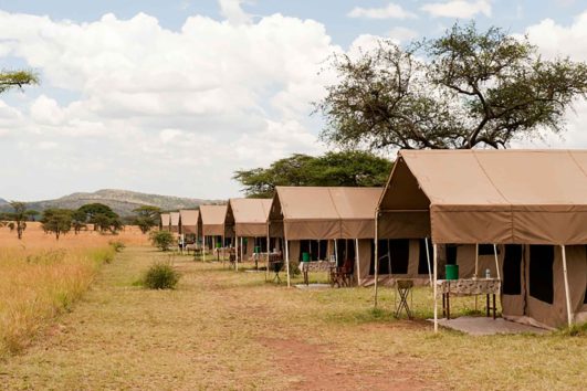 Serengeti-Kati-Kati-Tented-Camp-531x354 Serengeti-Kati-Kati-Tented-Camp-531x354