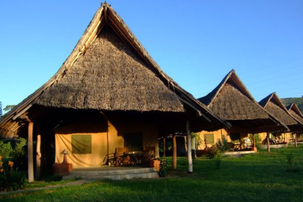 flamingohillcamp-768x576