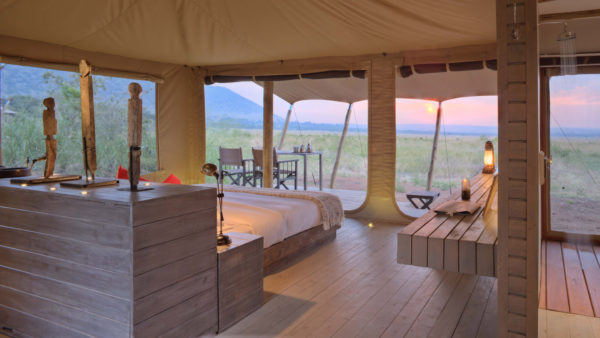 kichwa-tembo-600x338 kichwa-tembo-600x338