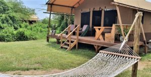 lake-manyara-tented-camp-300x153 lake-manyara-tented-camp-300x153