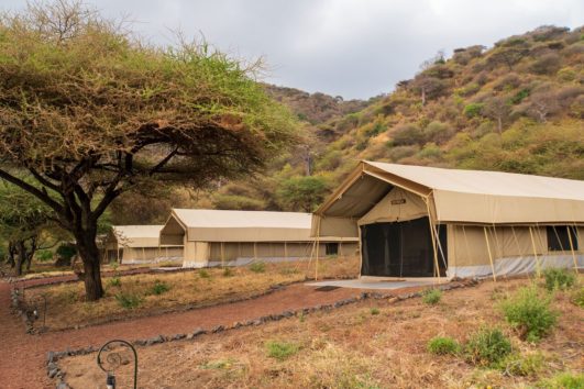 lake-manyara-tortilis-531x354 lake-manyara-tortilis-531x354