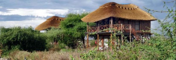 manyara-wildlife-camp-600x205 manyara-wildlife-camp-600x205