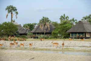 maramboi-tented-lodge-300x200 maramboi-tented-lodge-300x200