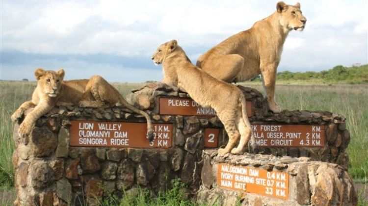 nairobi-national-park-3 nairobi-national-park-3