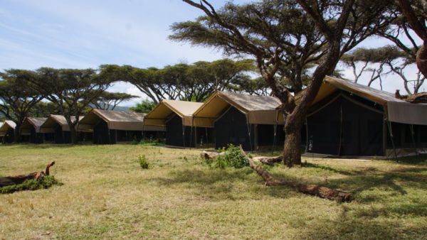 ngorongoro-kuhama-camp-1-600x338 ngorongoro-kuhama-camp-1-600x338