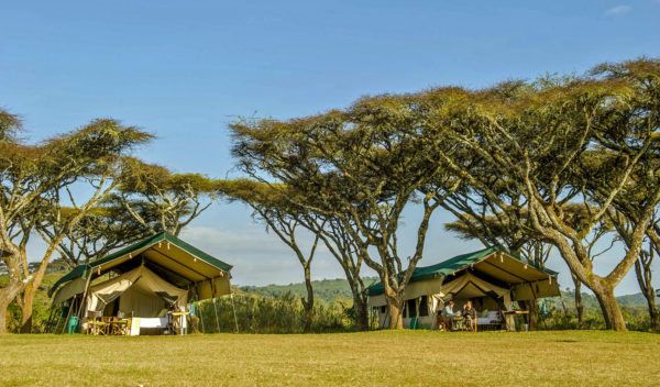 ngorongoro-wild-camp-1-600x352 ngorongoro-wild-camp-1-600x352
