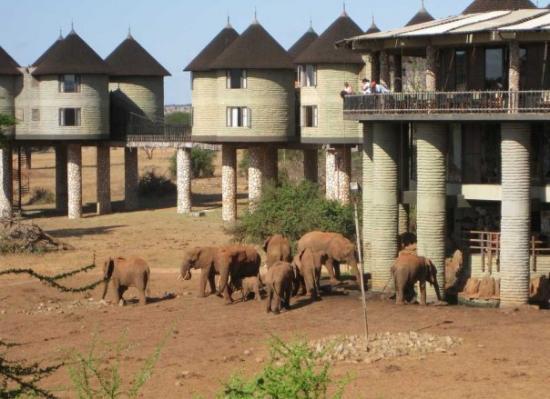 salt-lick-lodge