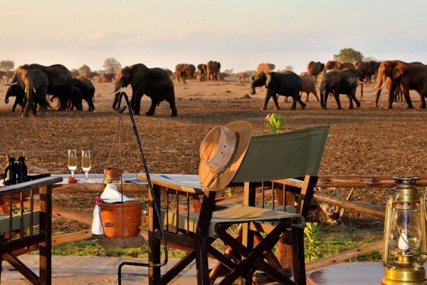 satao-camp satao-camp