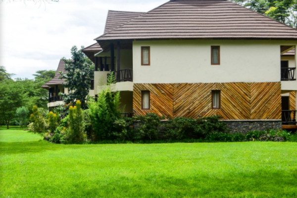 sawela-lodge-768x603 sawela-lodge-768x603