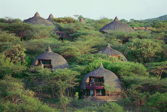 serengeti-serena serengeti-serena