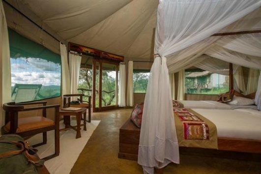 serengeti-simba-lodge-531x354 serengeti-simba-lodge-531x354